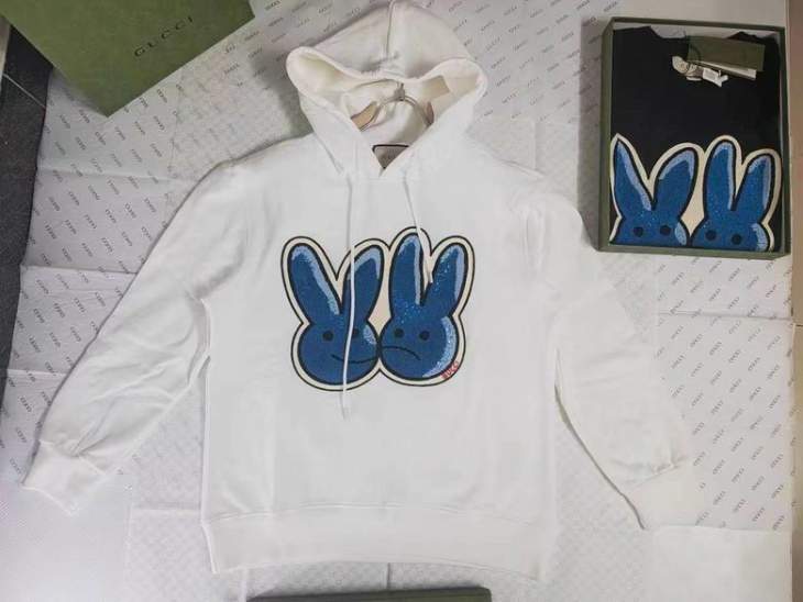 Picture of Gucci Hoodies _SKUGucciXS-LfqtG29133719